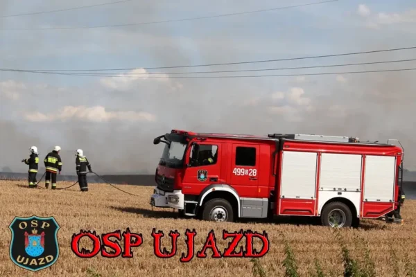 Pożar traw w pobliżu przejazdu kolejowego w Niezdrowicach