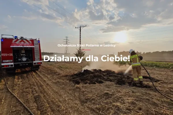 Czujka dymu i czadu – małe urządzenie, które może uratować życie