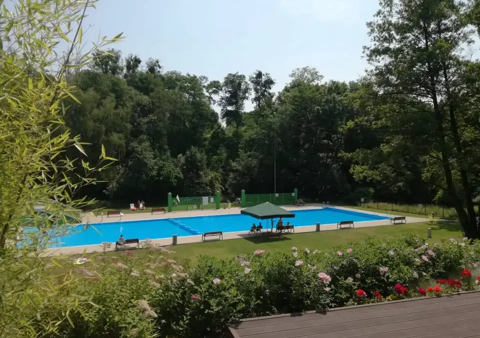 Wycieczka do opolskiego zoo: żyrafy, lwy i rejs po Odrze