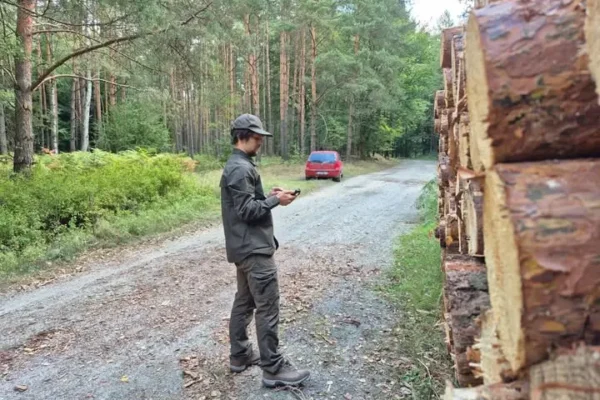 Skąd pochodzi drewno w Twoim domu? Leśnicy wyjaśniają cały proces