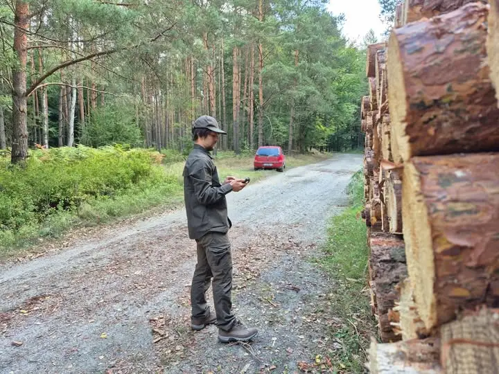 Skąd pochodzi drewno w Twoim domu? Leśnicy wyjaśniają cały proces