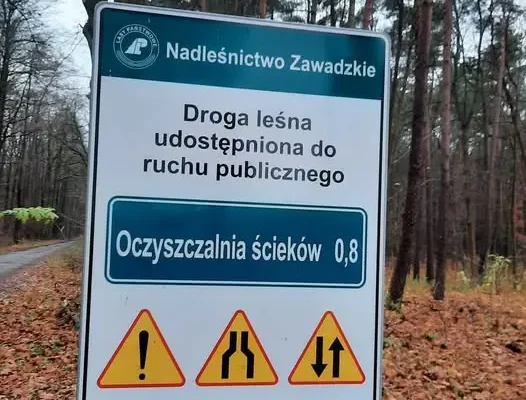 Uwaga na quady i samochody w lasach – mandat do 500 zł
