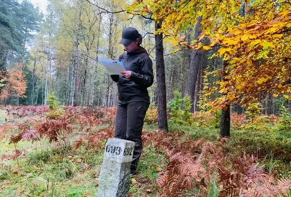 Grzybobranie w lesie: jak nie zgubić się w poszyciu? Praktyczny poradnik
