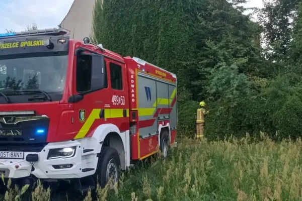 Interwencje strażaków: od zwisającej gałęzi po pożary i wypadek