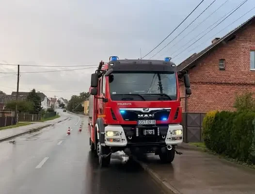 Strażacy z OSP Leśnica usuwali gniazdo owadów błonkoskrzydłych w Zalesiu Śląskim