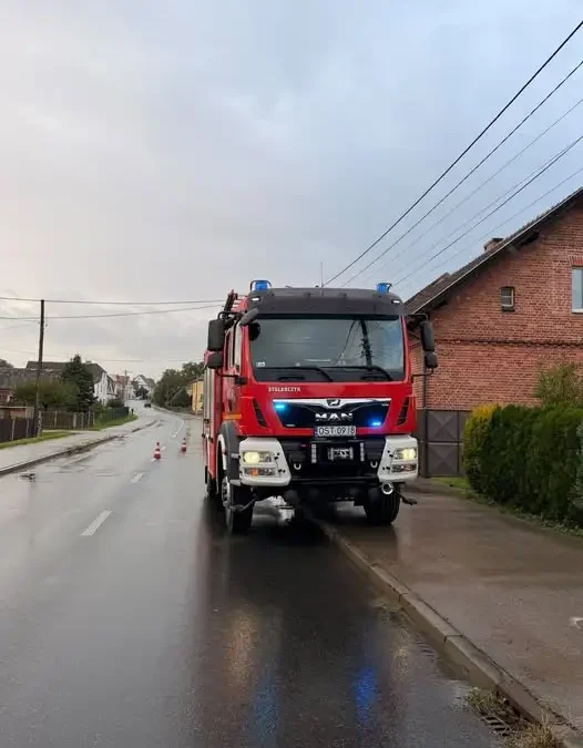 Strażacy z OSP Leśnica usuwali gniazdo owadów błonkoskrzydłych w Zalesiu Śląskim