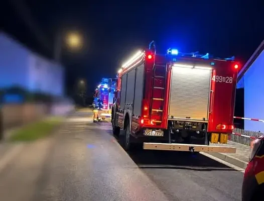 Zadymienie piwnicy w Starym Ujeździe. Interweniowały służby ratunkowe