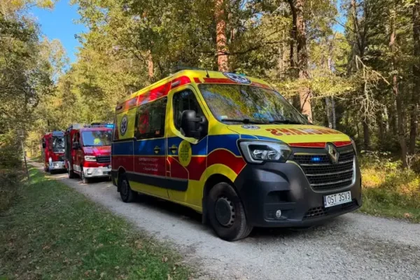 Grzybobranie w lesie pod Zawadzkiem zakończyło się akcją ratunkową