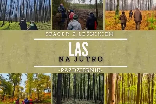 Spacer z leśnikiem w Nadleśnictwie Zawadzkie – akcja „Las na jutro”