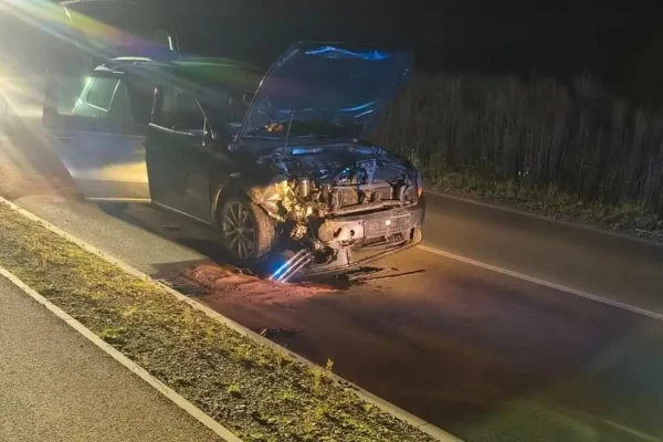 Kolizja z dzikiem na drodze powiatowej między Leśnicą a Lichynią