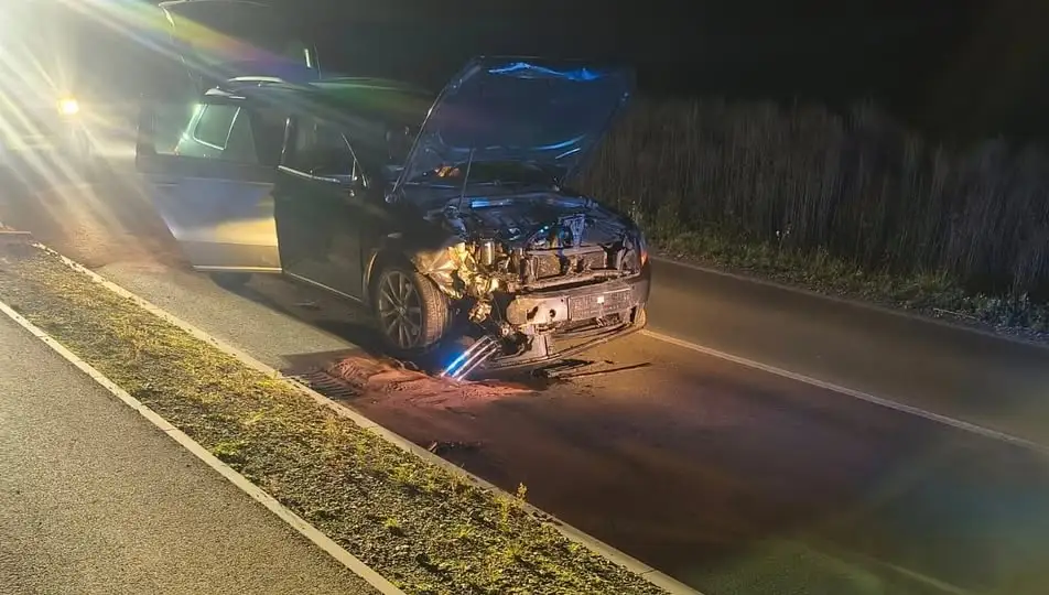Kolizja z dzikiem na drodze powiatowej między Leśnicą a Lichynią