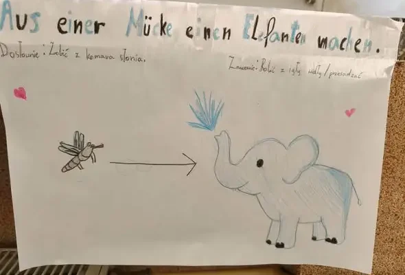 Szkolna galeria przysłów – uczniowie odkryli, że język to nie tylko gramatyka