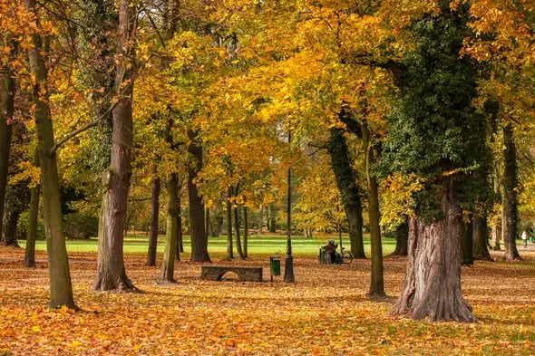 Park Renardów w Strzelcach Opolskich – jesienny spacer wśród 62 hektarów zieleni